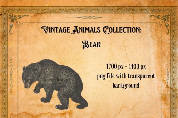 Charming Vintage Bear Illustration for Timeless Design