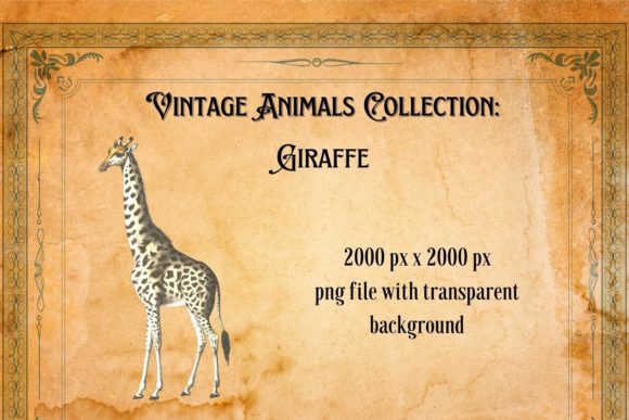 Charming Vintage Giraffe Illustration: A Designer's Asset