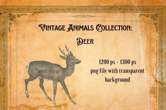 Timeless Charm: The Power of Vintage Deer Illustration