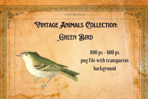 Vintage Green Bird Illustration: A Timeless Design Asset