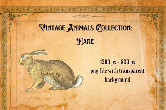 Vintage Hare Illustration: A Timeless Design Asset