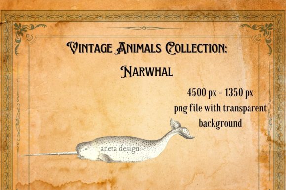Vintage Narwhal Illustration: A Unique Design Asset